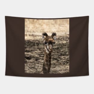 Baby Giraffe Tapestry