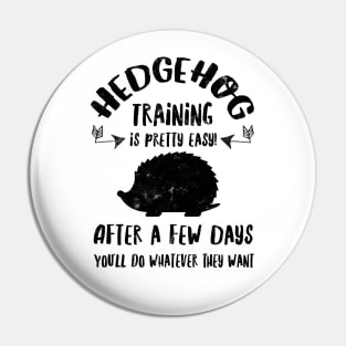 Hedgehog Pin