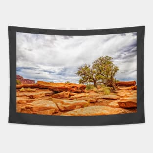 Juniper Tree, Capitol Reef National Park Tapestry