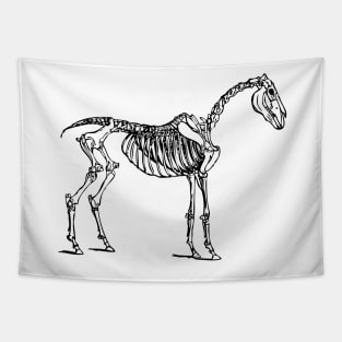 Skeleton Horse Tapestry