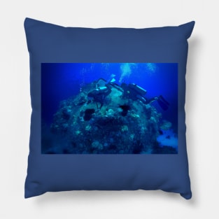 GREETINGS AQUANAUT! Pillow