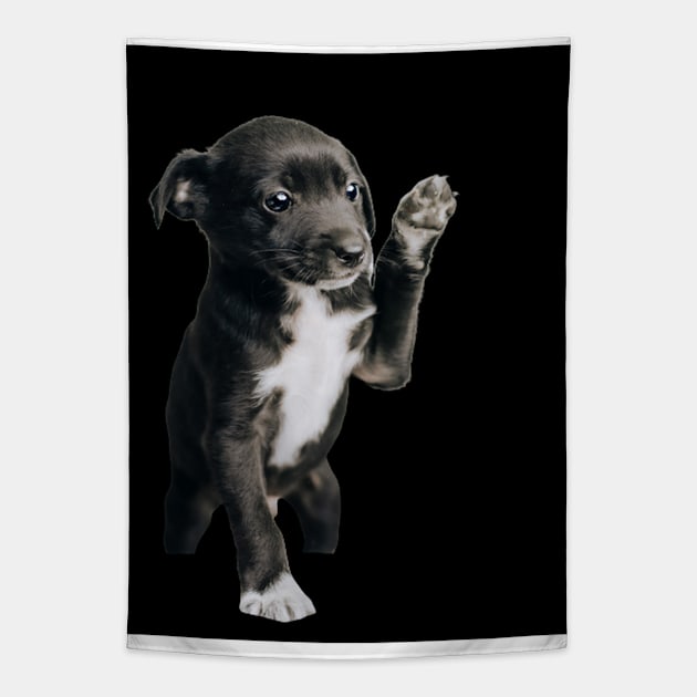 Black puppie Tapestry by KA&KO