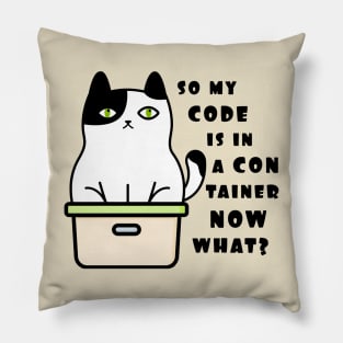 So my code is in container, now what? Pillow