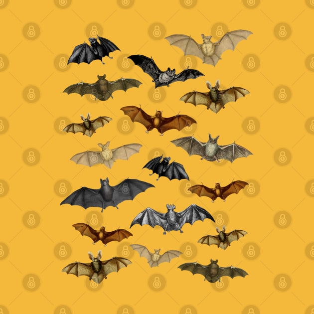 Vintage Dark Academia Bat Illustrations - Halloween Costume by PUFFYP