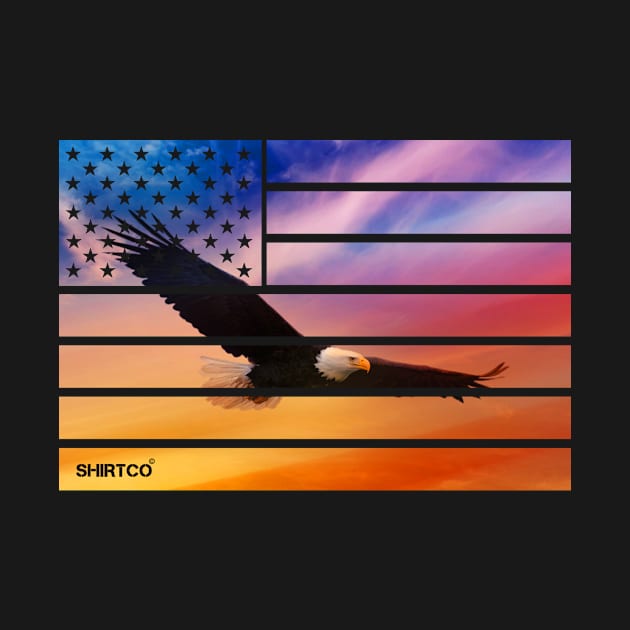 American flag and eagle by waleed
