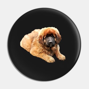 Leonberger Fluffy Puppy Dog Pin