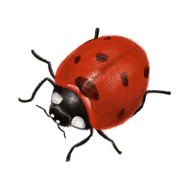 Ladybird by Funfil