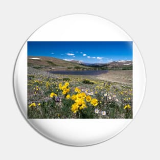 Summer in the Mountains Pin