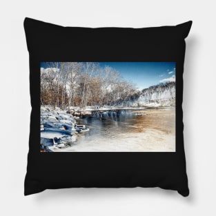 Winter In The Park - Infrared Pillow