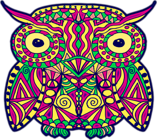 coloured owl Magnet