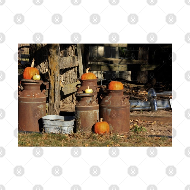 Halloween Pumpkin's on Milk Can's in Kansas out in the country. by ROBERTDBROZEK