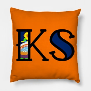 Kansas Pillow