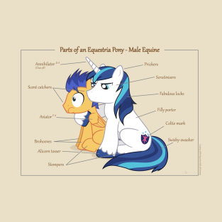 Pony Anatomy - Male Equine T-Shirt