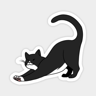 Black n White Cat Stretch Magnet