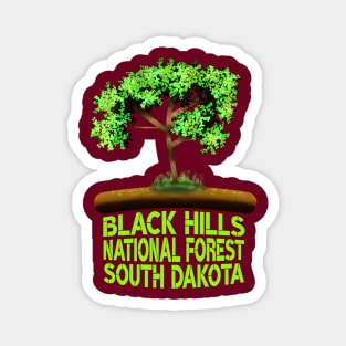 Black Hills National Forest South Dakota Magnet