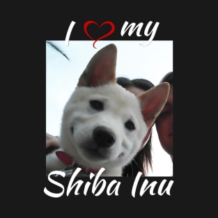 I heart my Shiba Inu T-Shirt