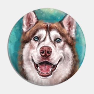 Brown and White Siberian Husky Smiling on Blue background Pin