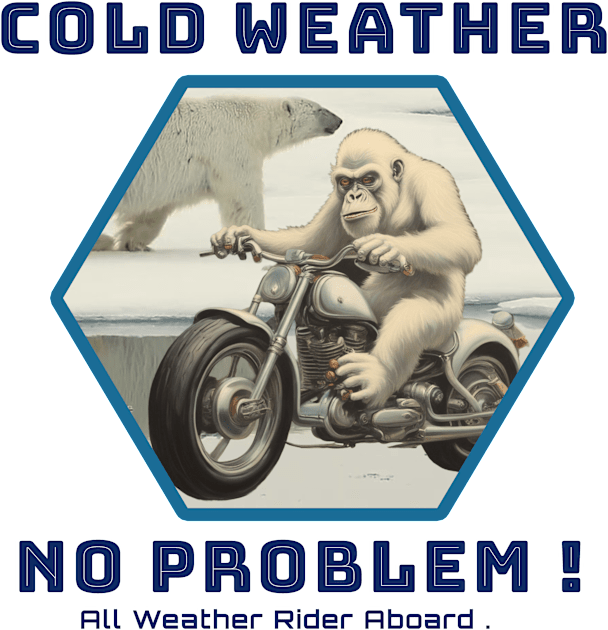 COLD WEATHER NO PROBLEM Kids T-Shirt by CS77