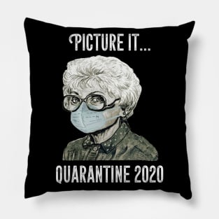 Picture It Quarantine 2020  T Shirt Pillow