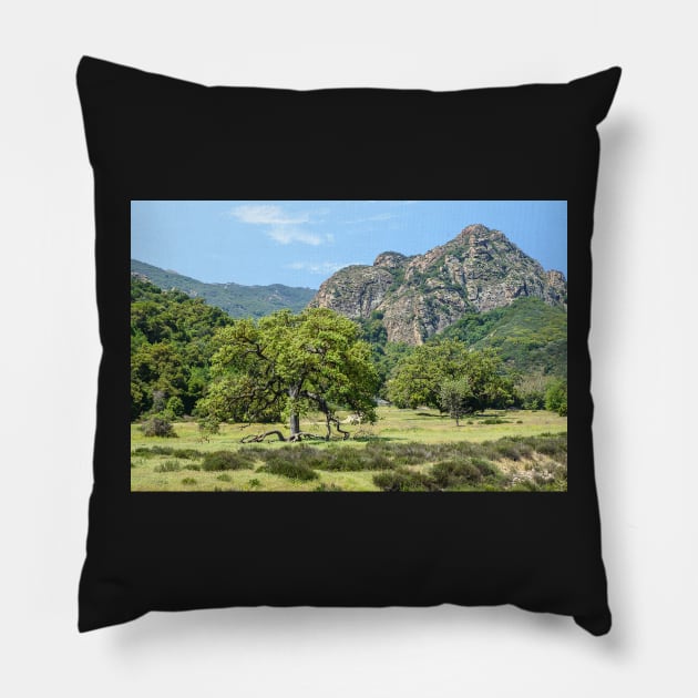 Malibu Creek State Park Pillow by mariola5