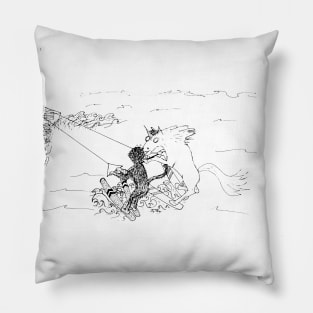 Water-skiing with Monkey and Unicorn Pillow