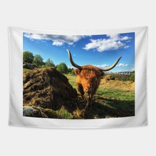 Scottish Highland Cattle Cow 2394 Tapestry