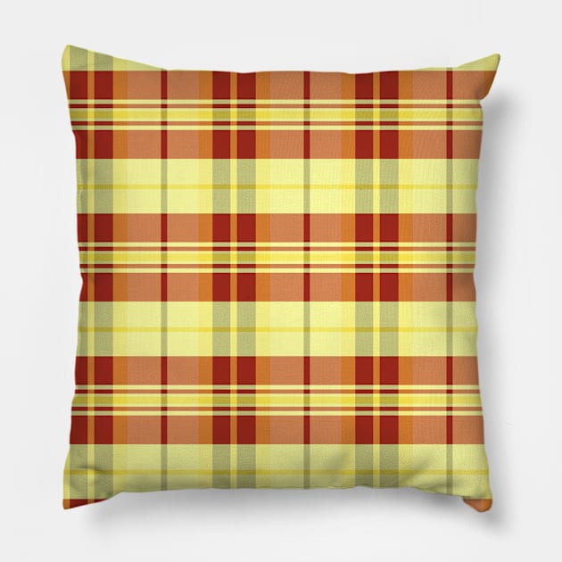 Sunset and Sunrise Aesthetic Arable 1 Hand Drawn Textured Plaid Pattern Pillow by GenAumonier