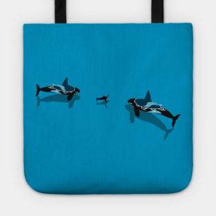 Killer whale hunting seals Tote