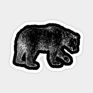 Bear Magnet