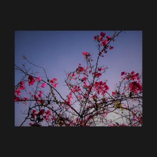 Beautiful summer pink flowers T-Shirt