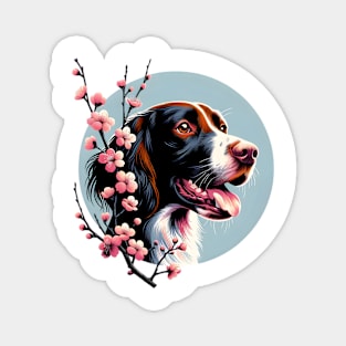 Small Munsterlander Pointer Enjoys Spring Cherry Blossoms Magnet