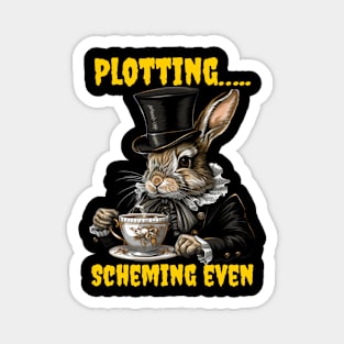 Plotting…..scheming even Magnet