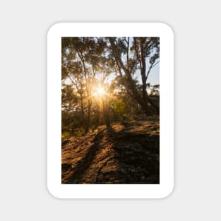 Sunrise on Blackwall Mountain on NSW Central Coast Magnet