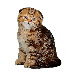 Cute brown kitten T-Shirt