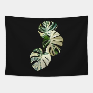 MONSTERA THAI CONSTELLATION MUTATION Tapestry