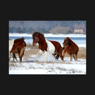 Mischievous Horses T-Shirt