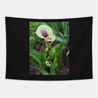 Calla Lilies Photographic Image Tapestry