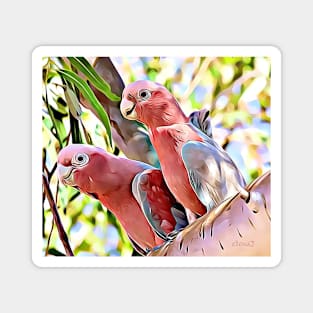 2 Galahs Magnet