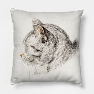 art Pillow