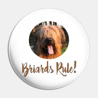 Briards Rule! Pin