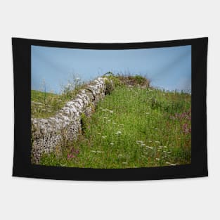 Wembury Dry Stone Wall Tapestry