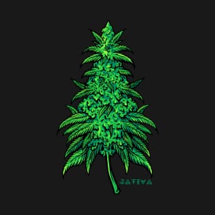 Cannabis Sativa T-Shirt