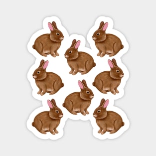 Cute Fluffy Rabbits Magnet