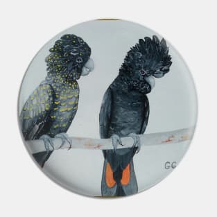 Australian Black Cockatoos original painting Pin