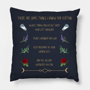 Practical Magic Pillow