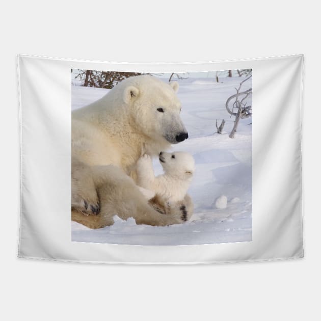 Mother polar bear relaxing with cub Tapestry by mjoncheres