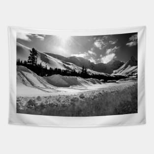 Canadian Rocky Mountains Icefields Parkway Canada Tapestry