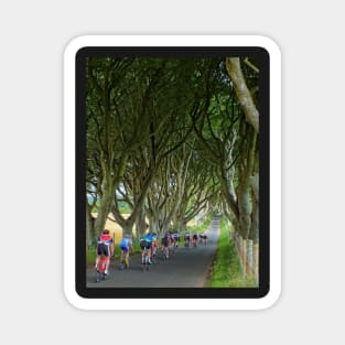 Cycling the Dark Hedges Magnet