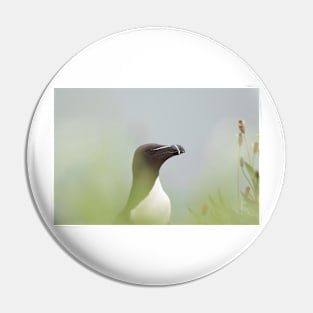 Razorbill with muted background Pin