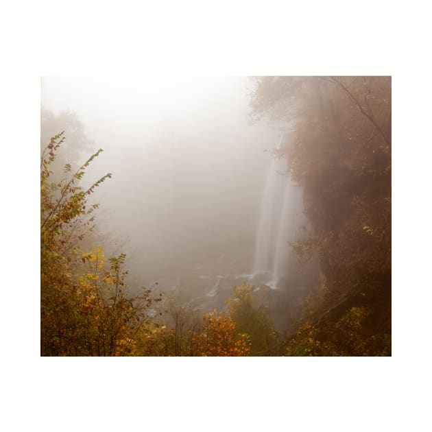 Foggy Dreamlike Fall Colored Waterfall by mcdonojj